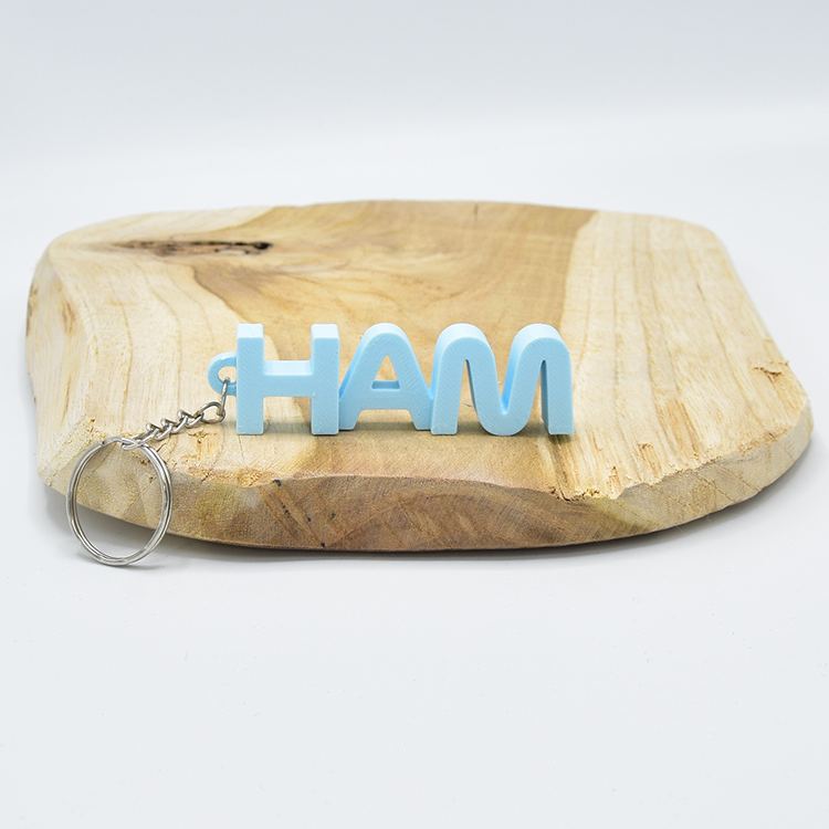 Lewis Hamilton F1 Coureur Sleutelhanger